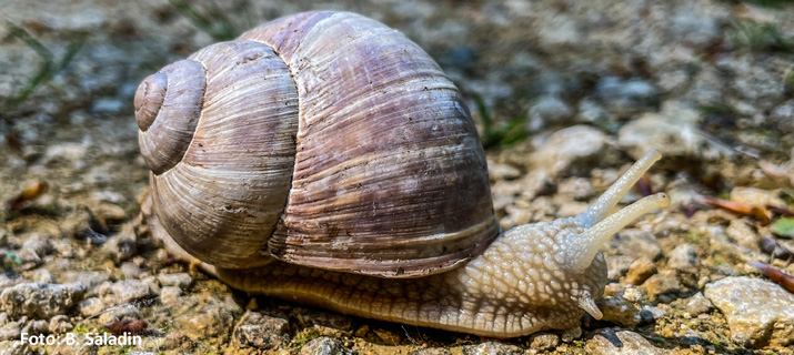 Zeit für Natur