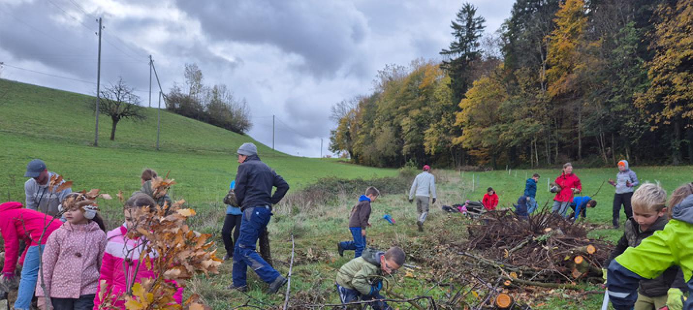 Kinder in der Natur